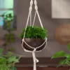 Hanging Pot by CocoShell - Image 2