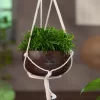 Hanging Pot by CocoShell - Image 3