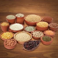 Pulses_Grains_-265x265_px-04-min_400x